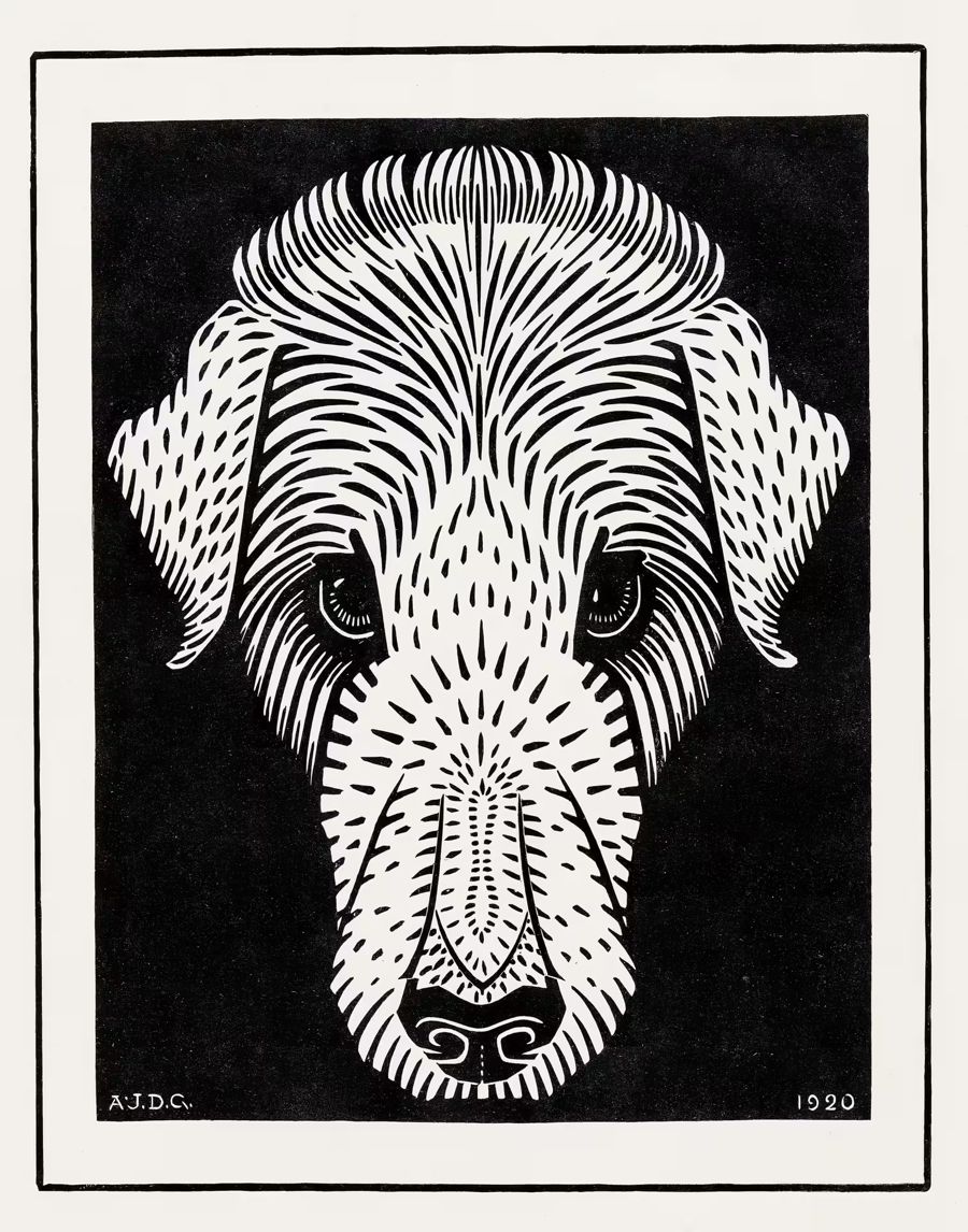 , Dog's Head Nouveau Dog Julie