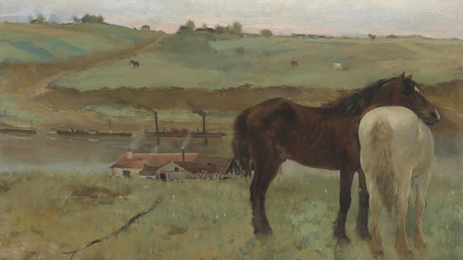 Horses in the Meadow
