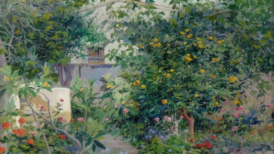 Garden with Flowers