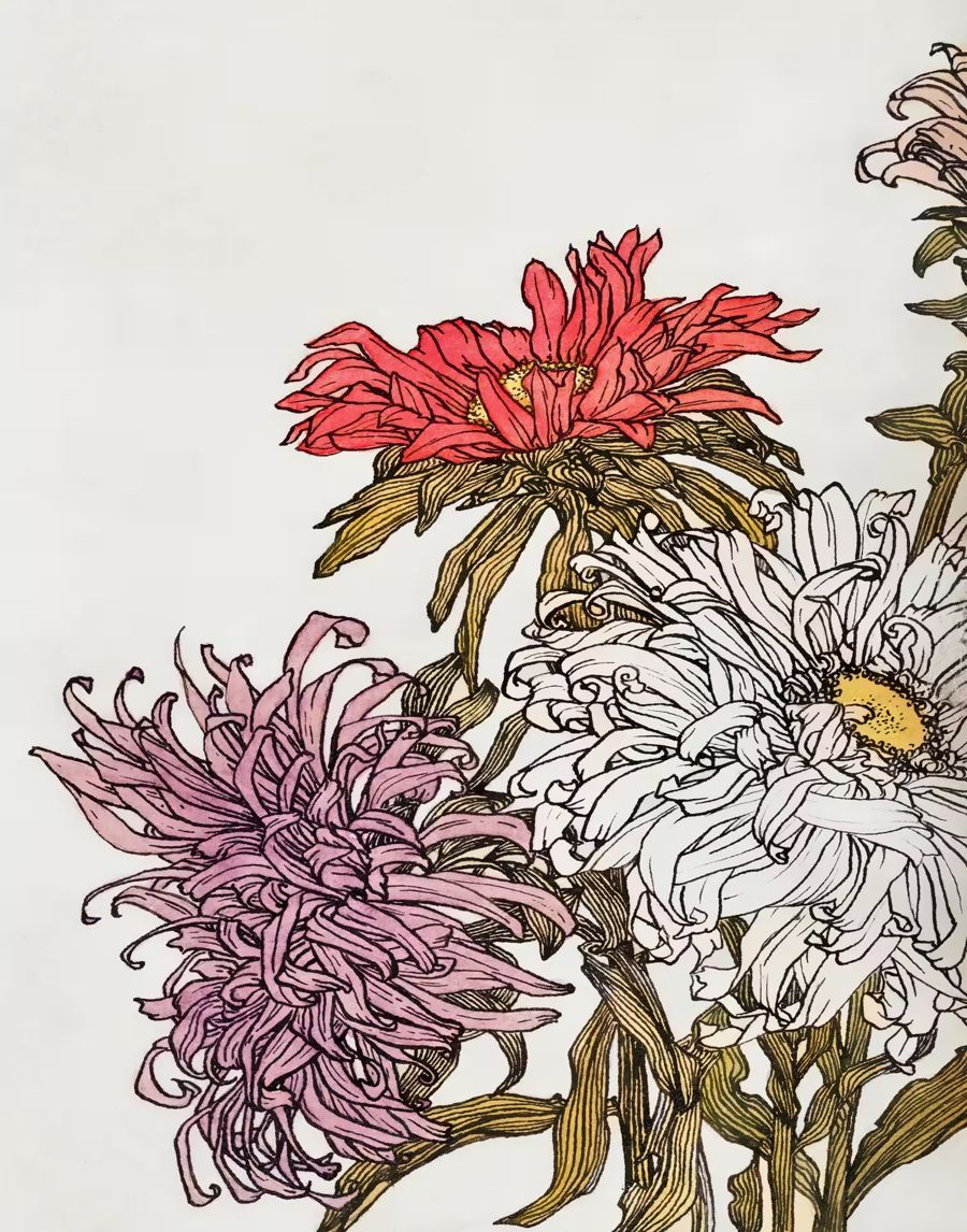 Flowers Nouveau Floral Watercolor