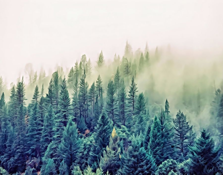 , Forest Morning Mist Landscape Home
