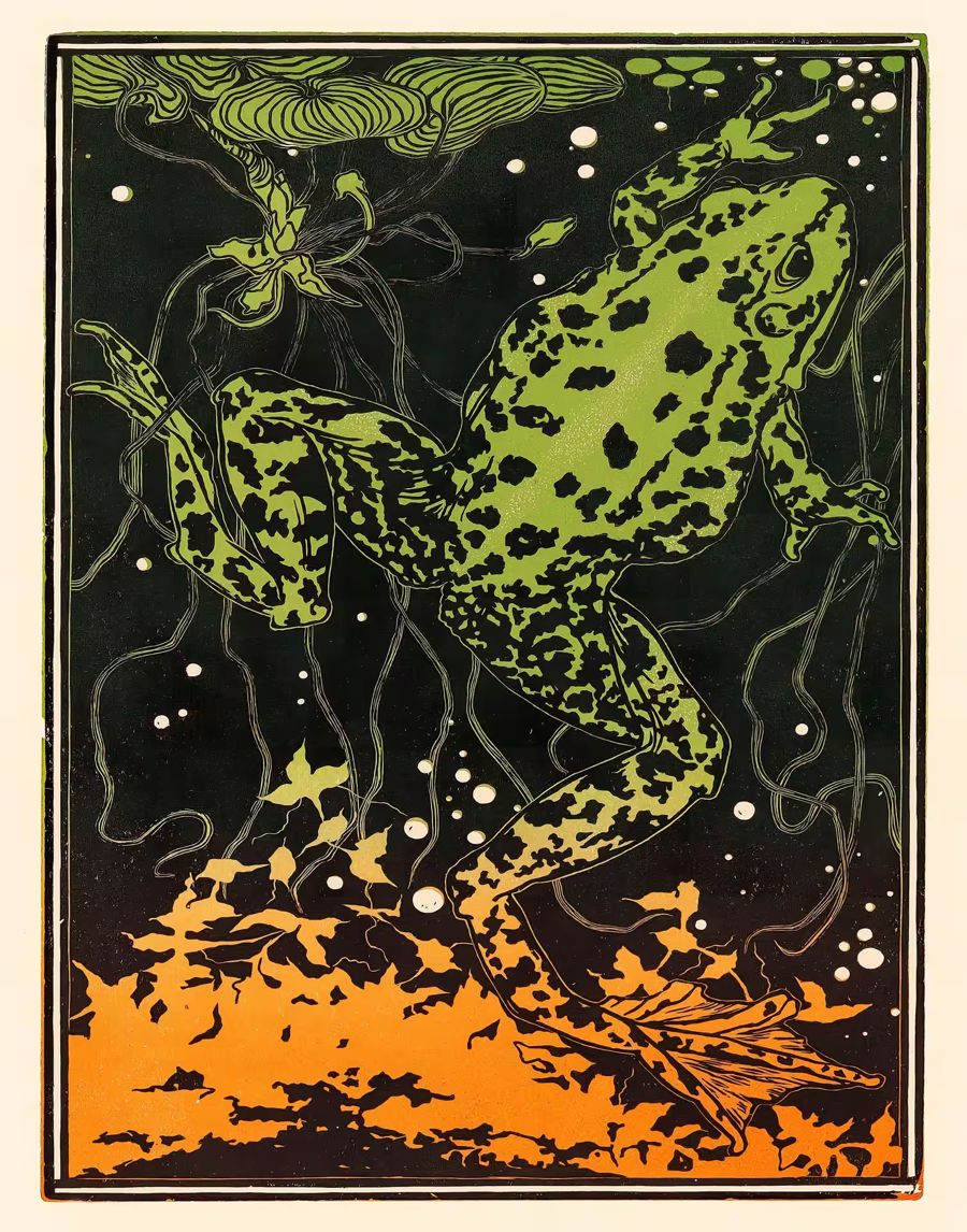 EcoArtLab Originals, Frog Decor Nouveau Frog Julie