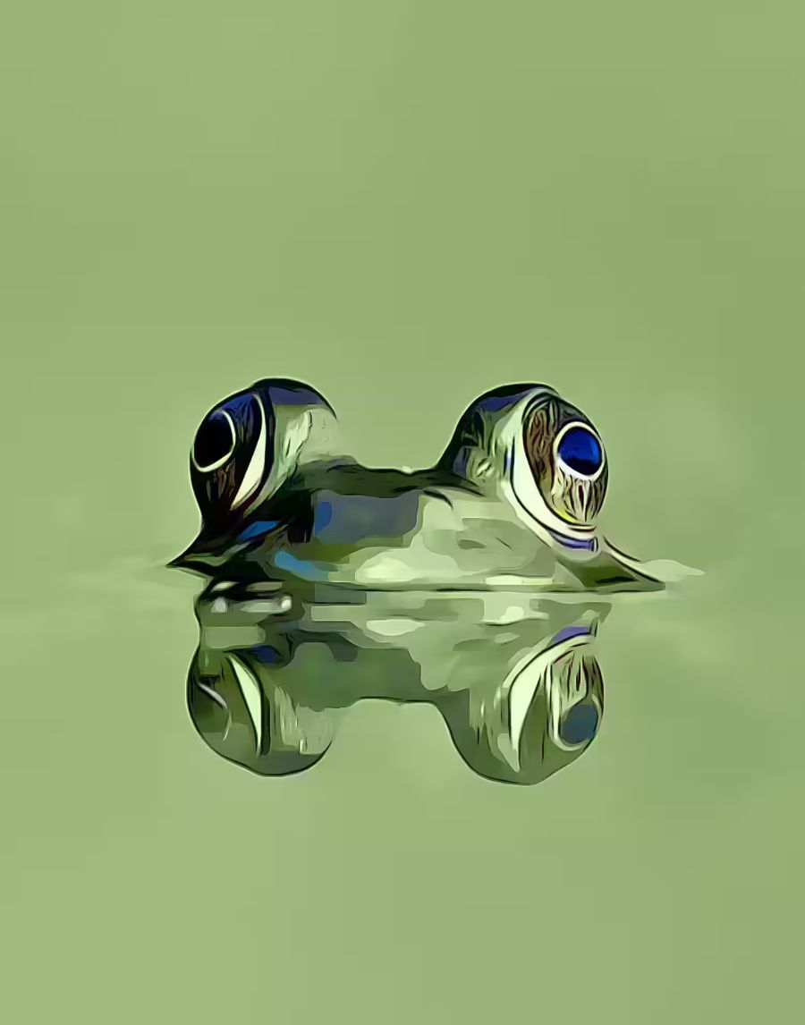 , Frog Sitting Pond Green Frog