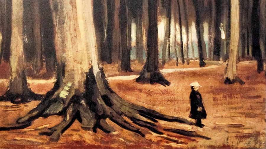 Girl in the Woods