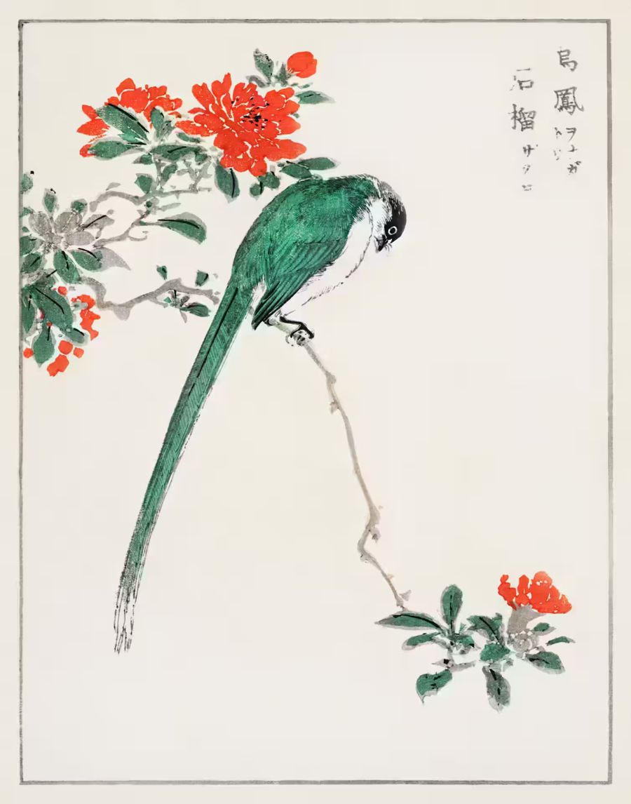 , Green Bird Branch Japanese