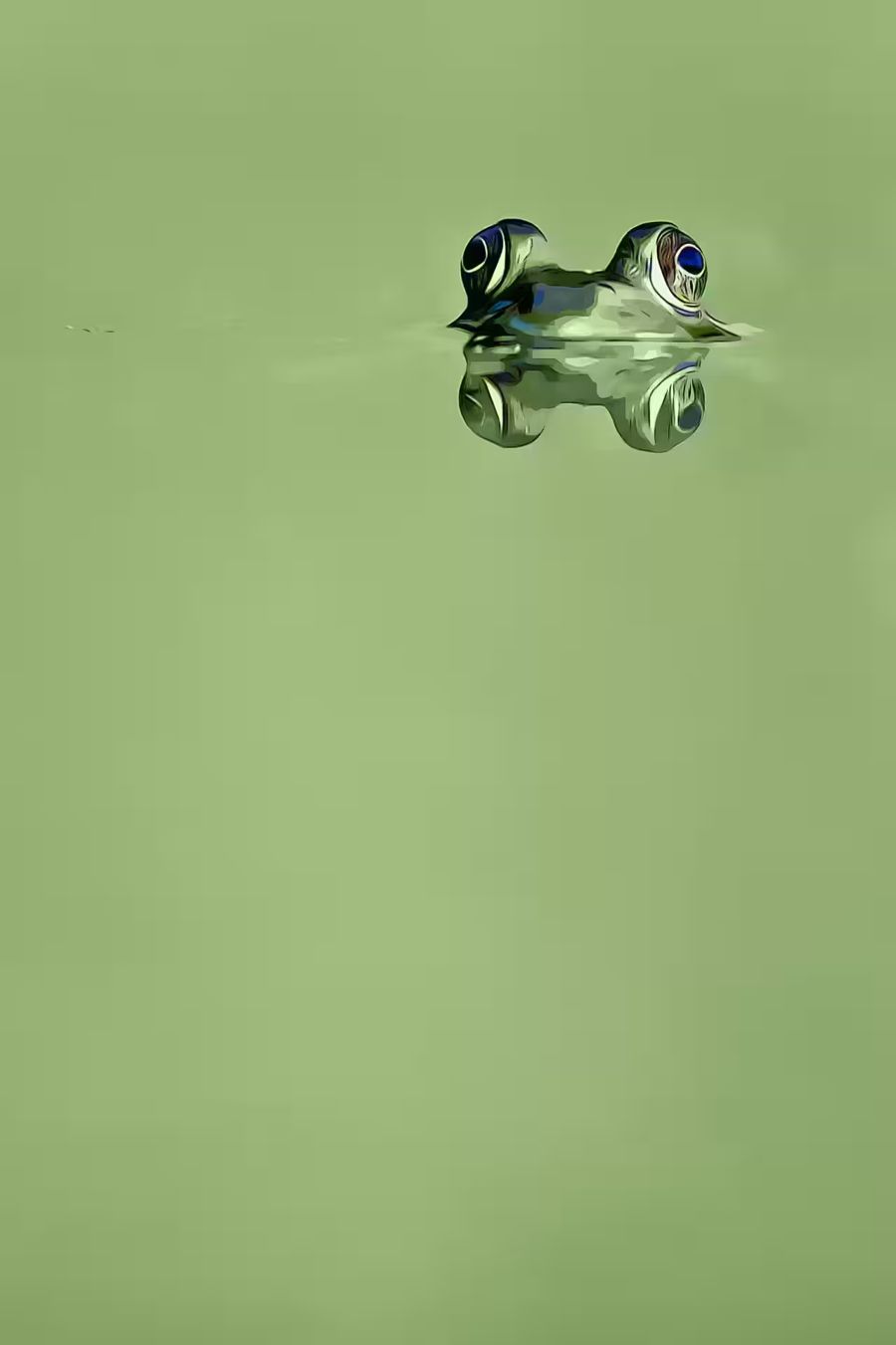, Green Frog Sitting Pond 2
