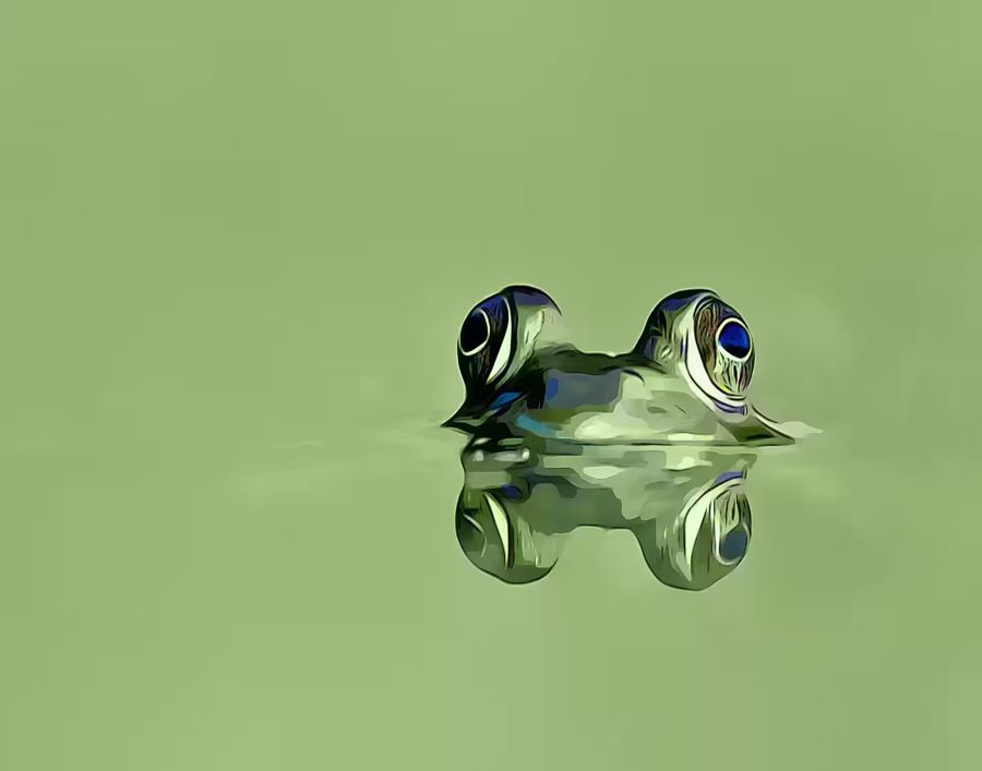 , Green Frog Sitting Pond Frog
