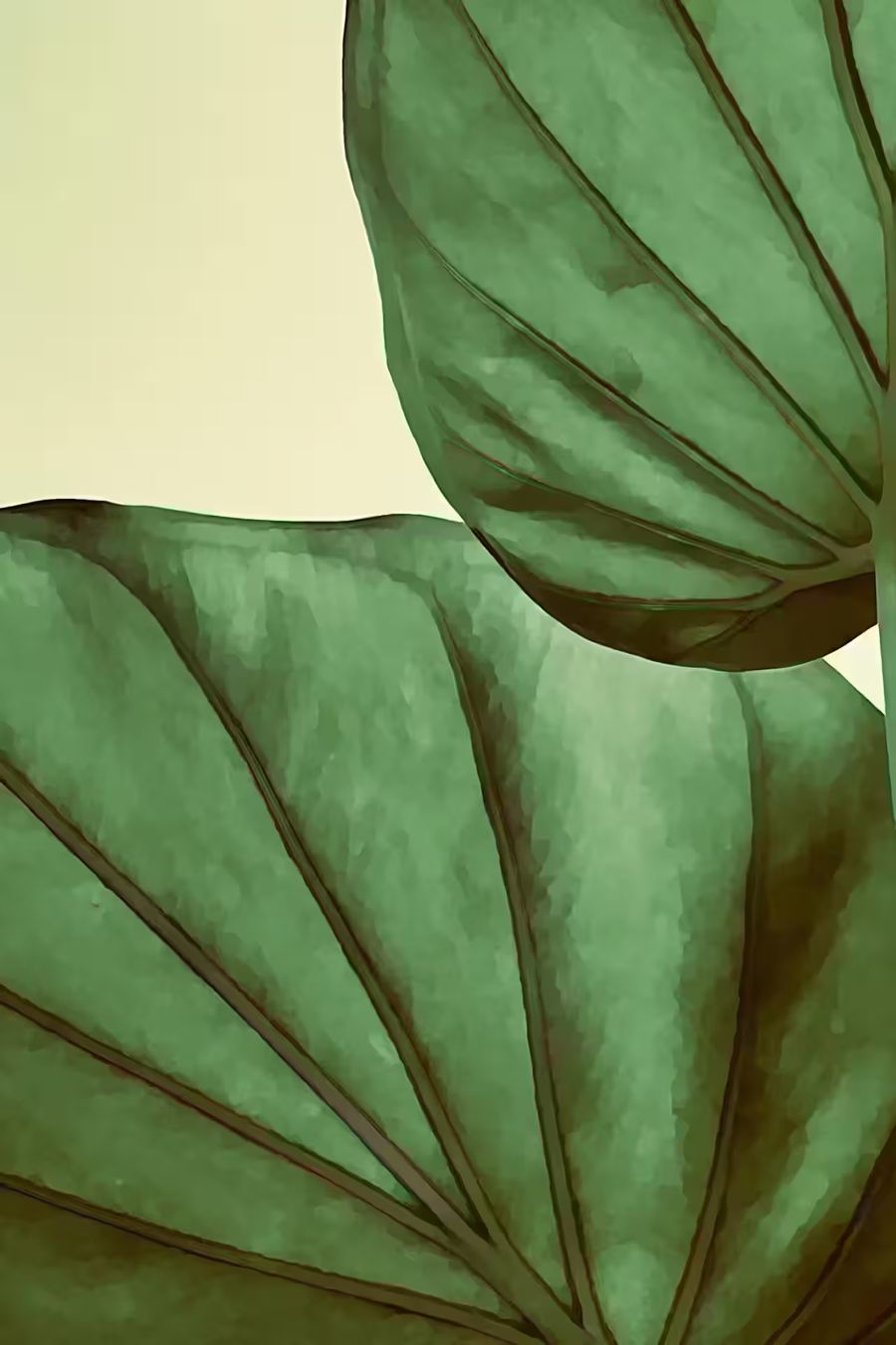 , Green Tropical Leaf 2 Leaf