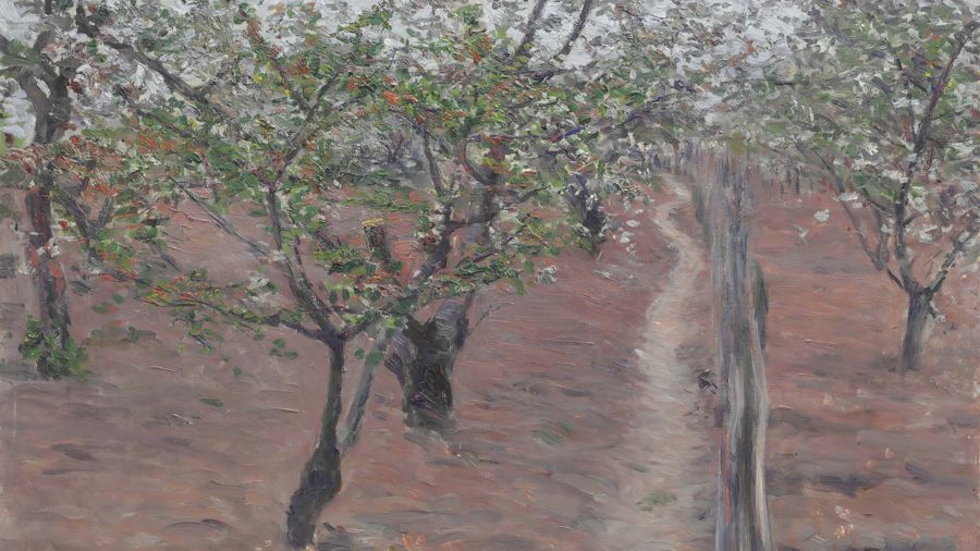 Orchard Trees in Flower Petit Gennevilliers