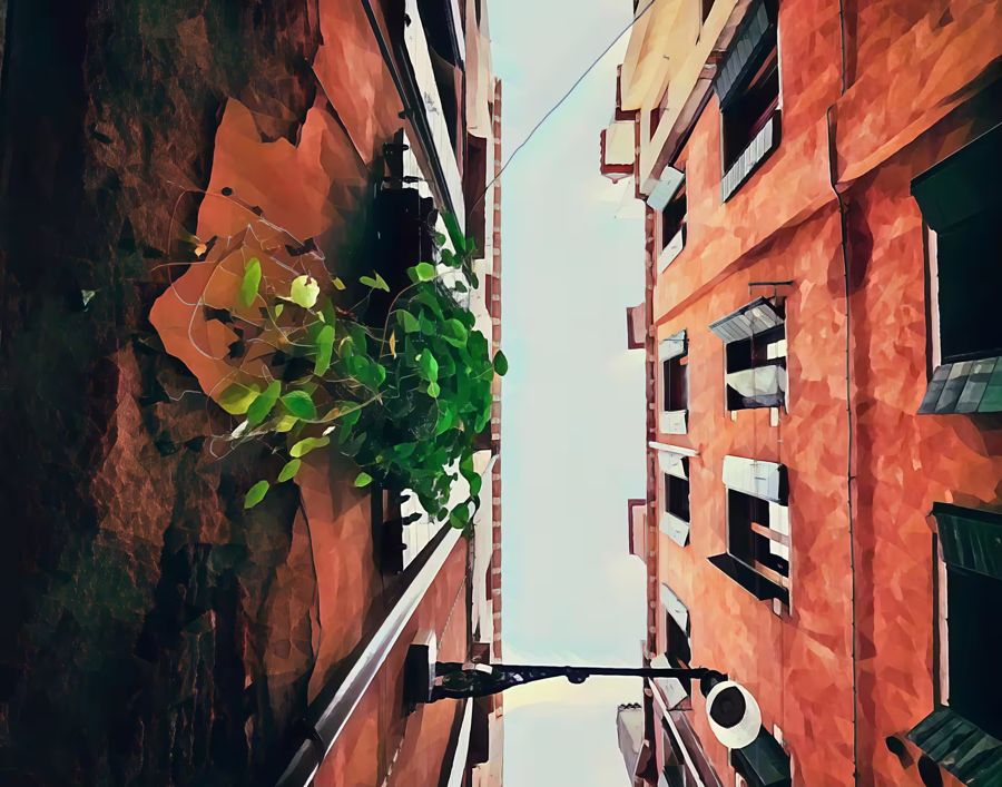 , Houses Venice Neighborhood