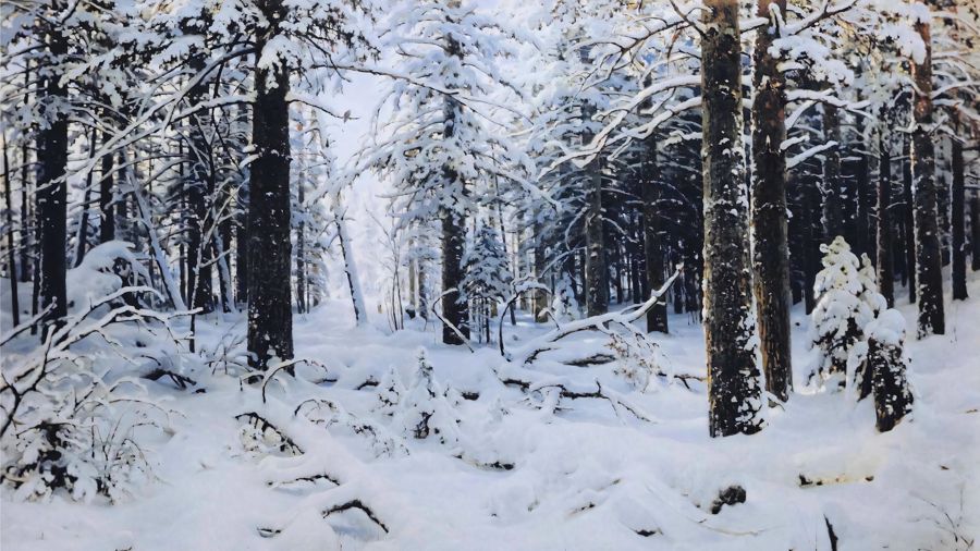 Winter