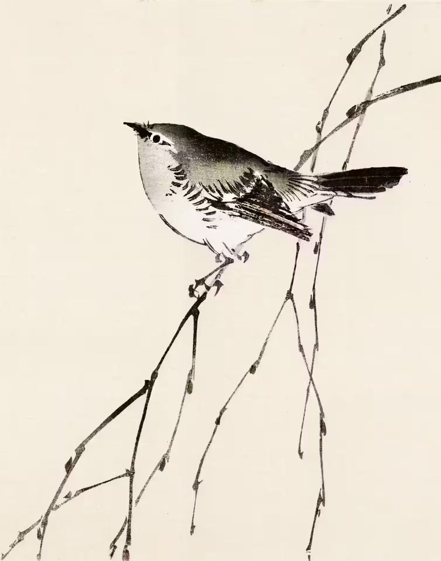 , Japanese Bird Branch 19th Century