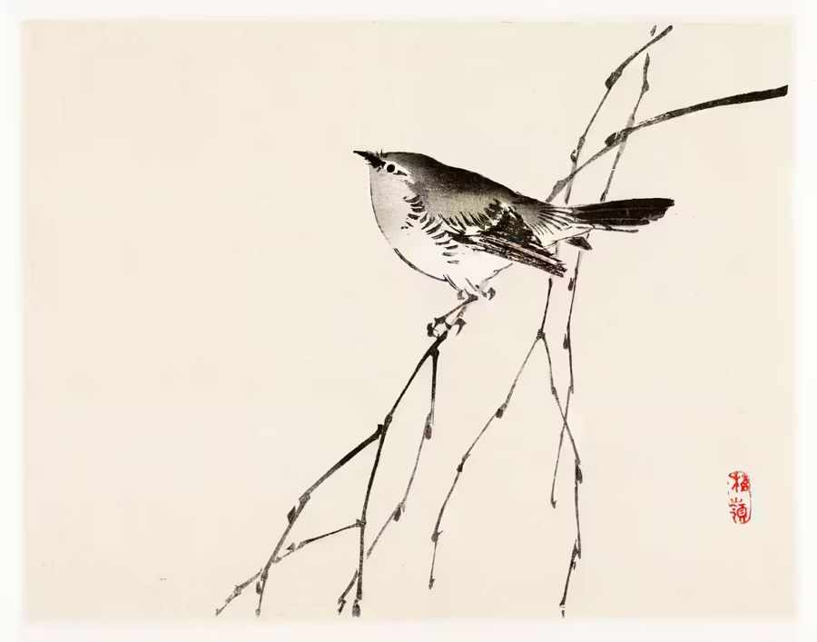 , Japanese Bird Branch 19th Century