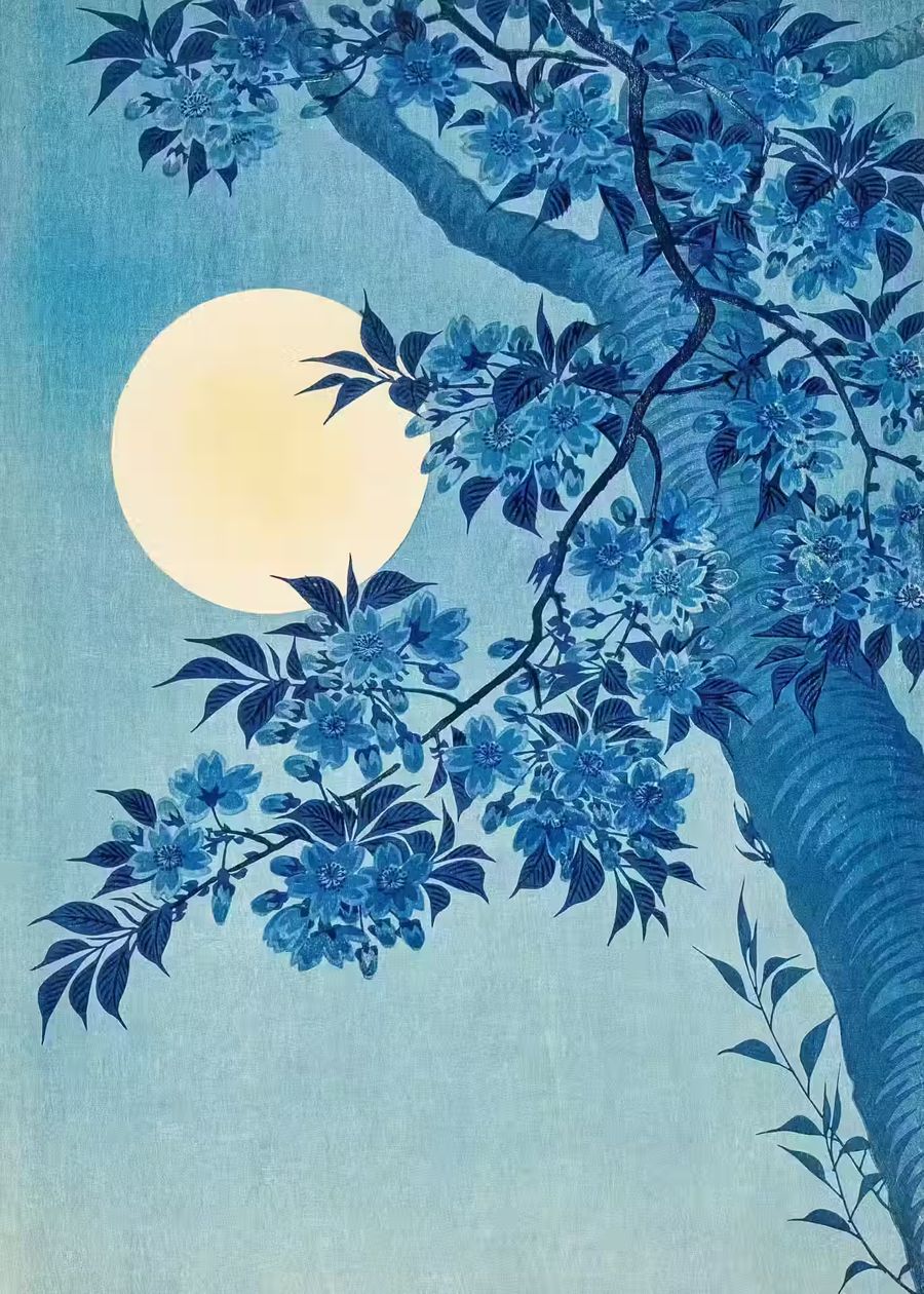 , Japanese Blossoming Cherry Full Moon