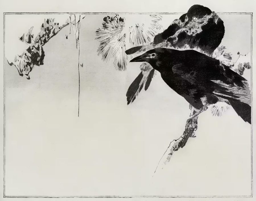 , Japanese Crows Perched Branch 19th