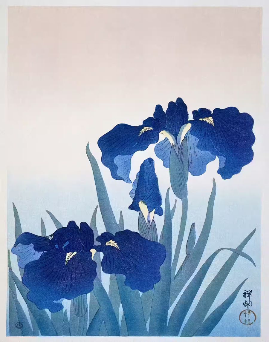 Japanese Flower Blue Irises Antique
