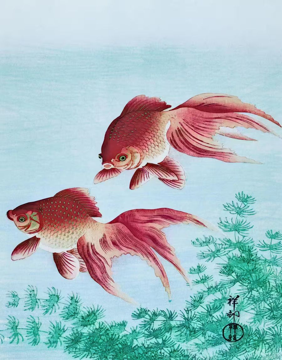 , Japanese Old Antique Illustration