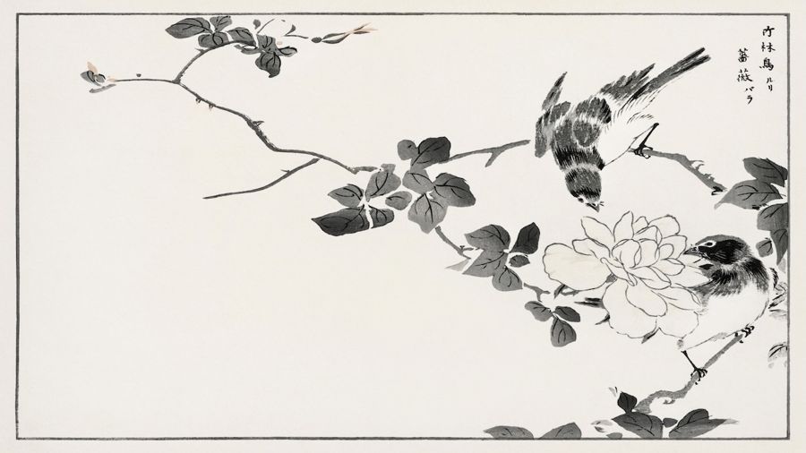 , Japanese Robin and Rose