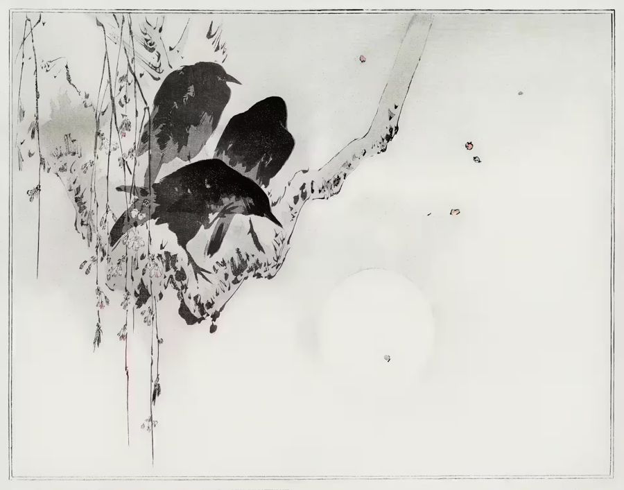 Japanese Three Crows Branch 19th