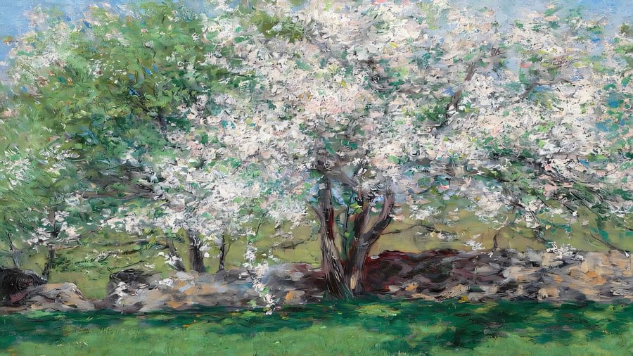 Apple Trees