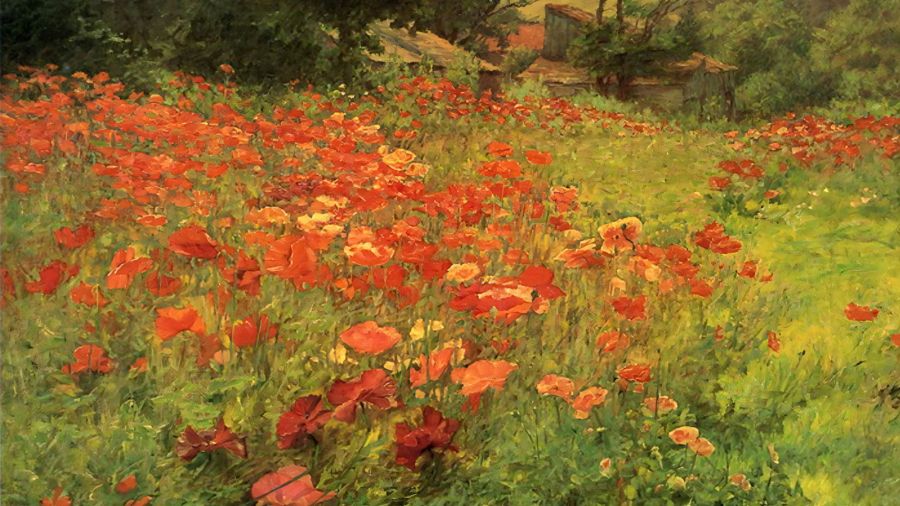 In Poppyland
