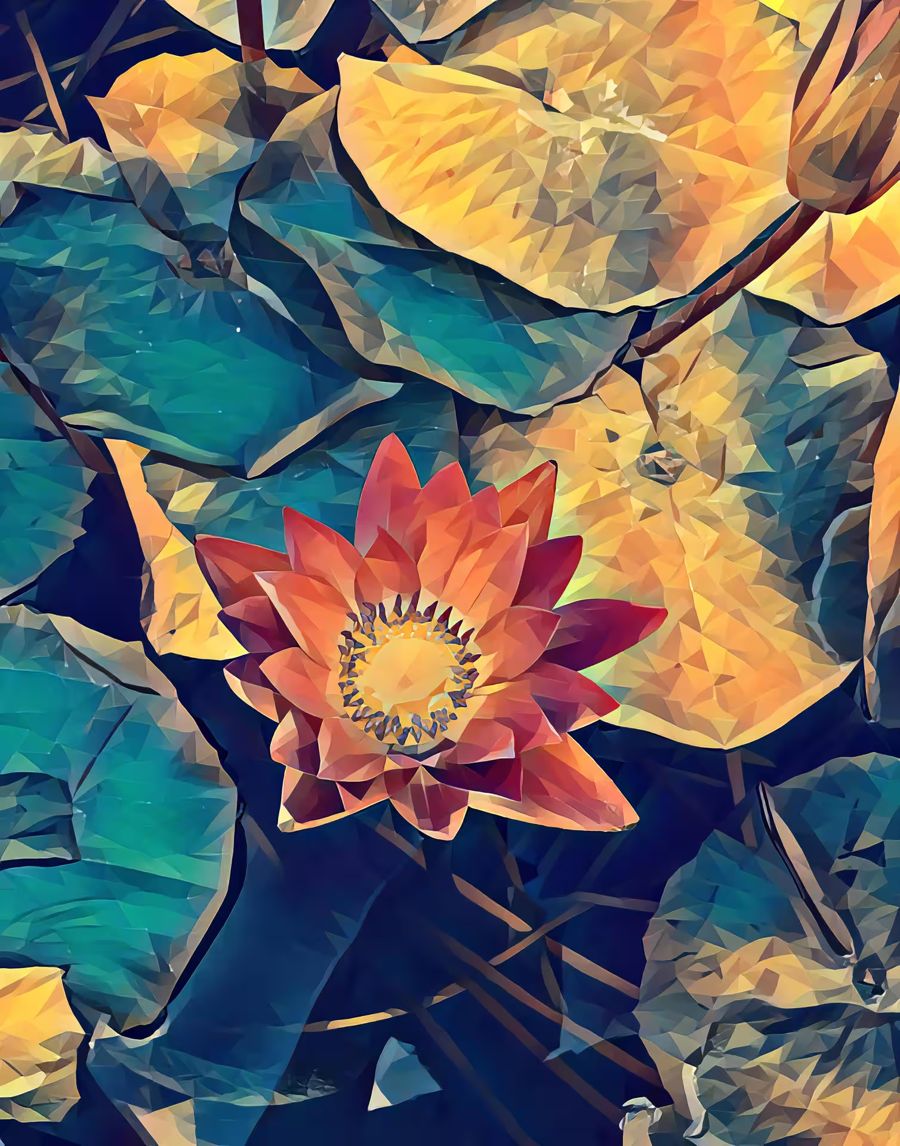, Lotus Flower