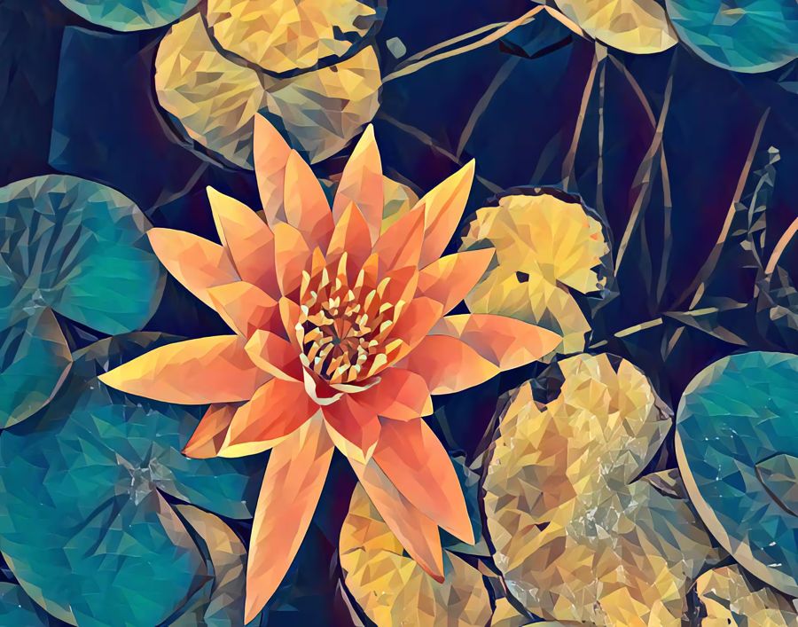 , Lotus Flower