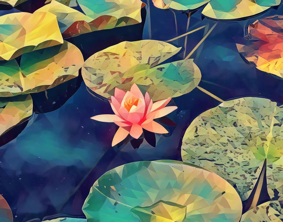 , Lotus Flower