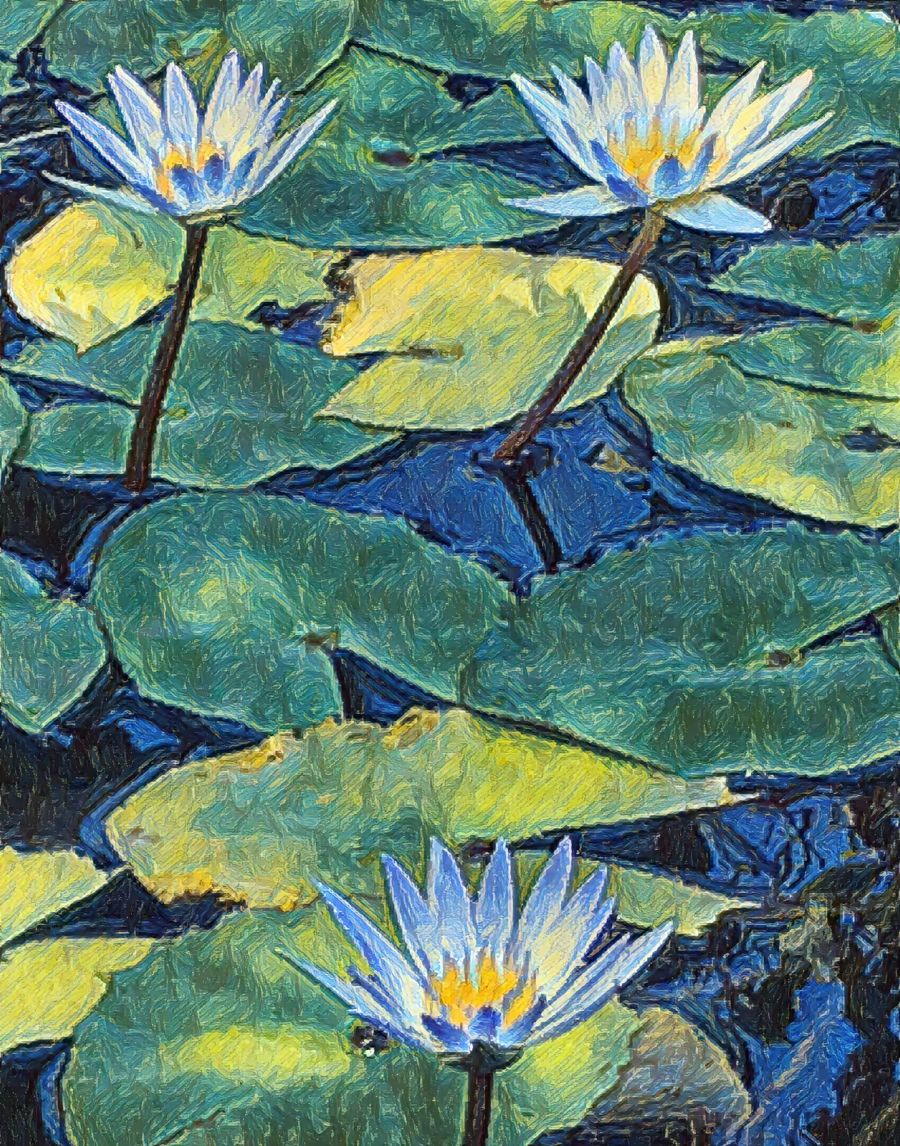 , Lotus Flower