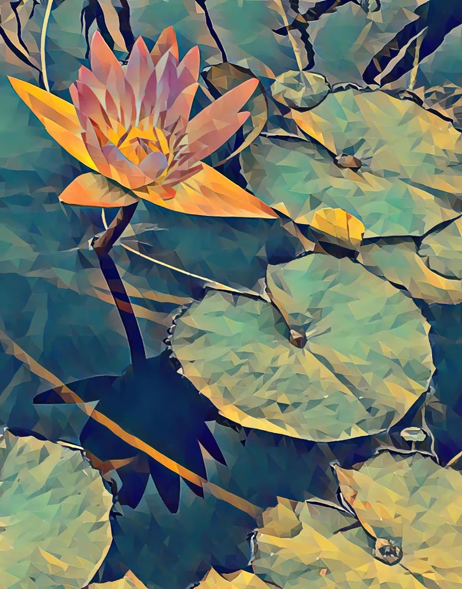 , Lotus Flower
