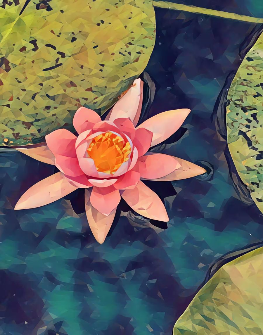 Lotus Flower