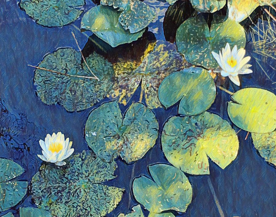Lotus Flower