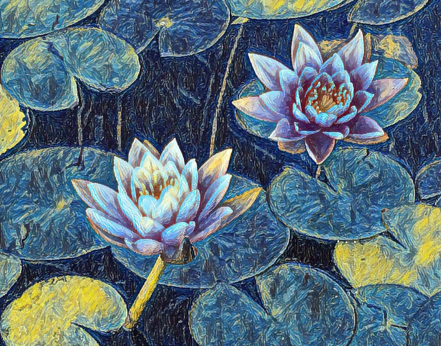 , Lotus Flower