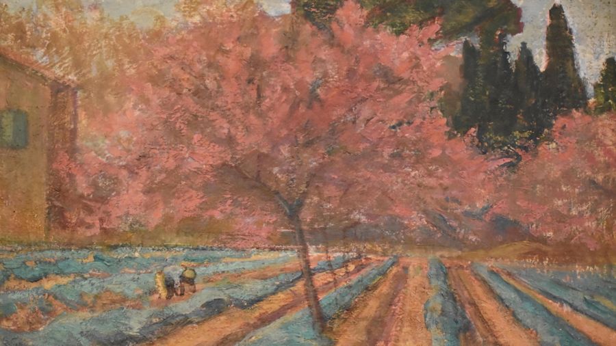 Louis Bausil, Peach Trees In Bloom