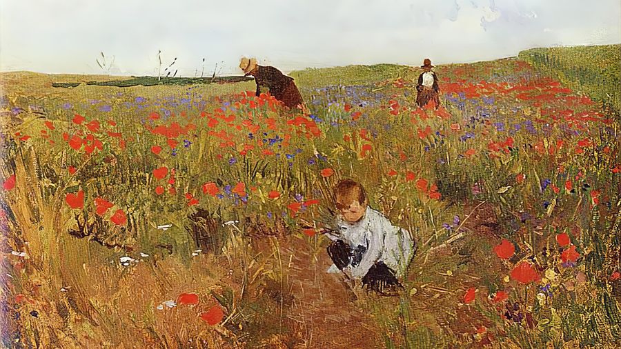 Red poppies
