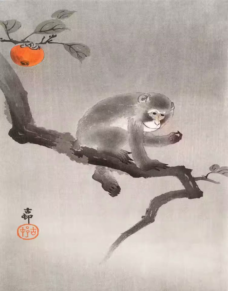 , Monkey Japanese Monkey Sitting Branch