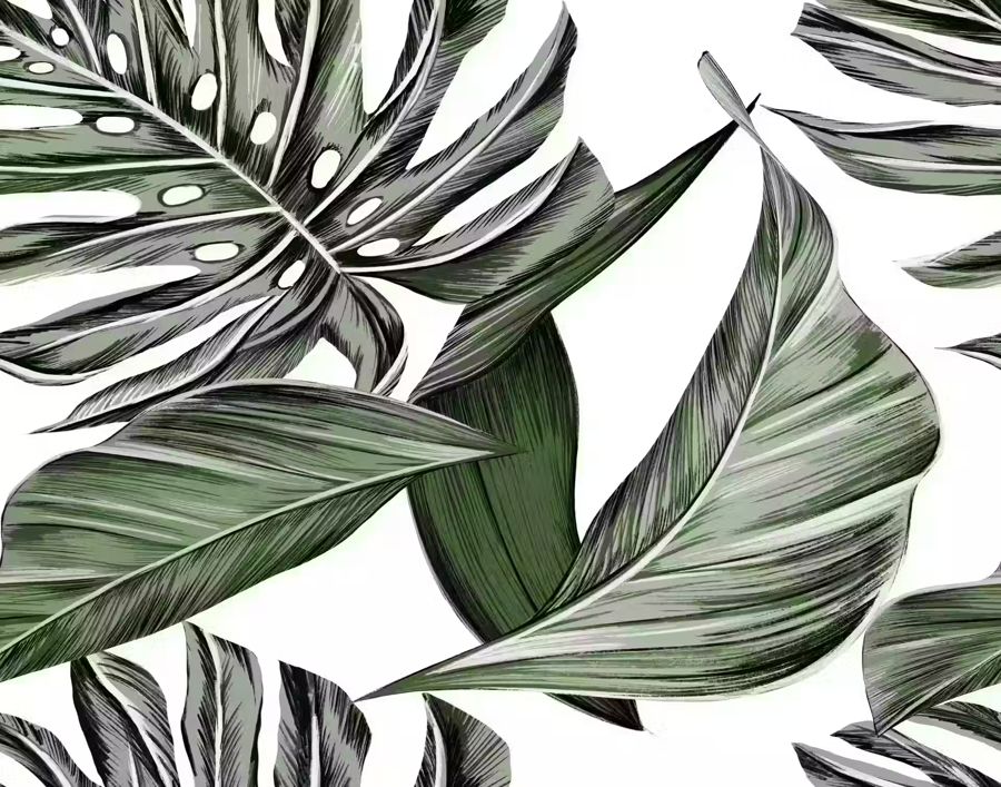 , Monstera Palm Leaf Sage Green