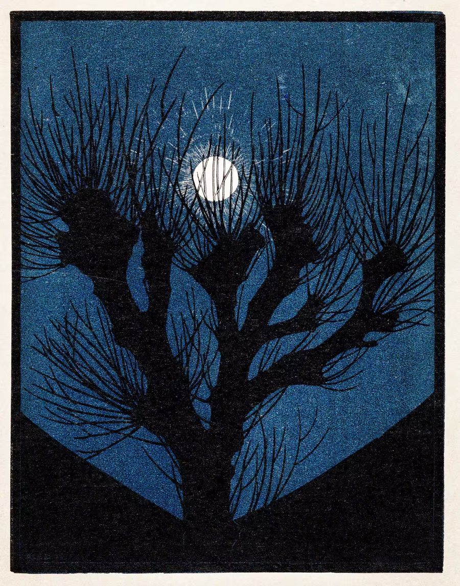 , Moon Light Nouveau Julie De