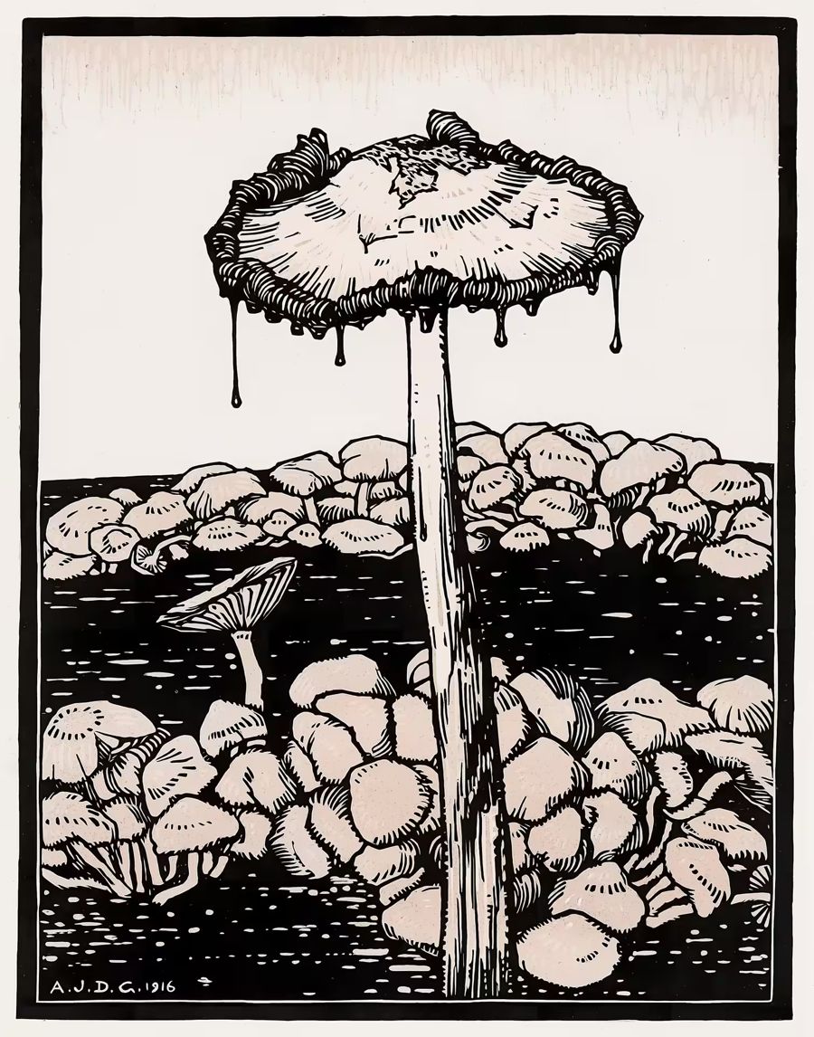 , Mushroom Nouveau Mushroom Retro Trippy