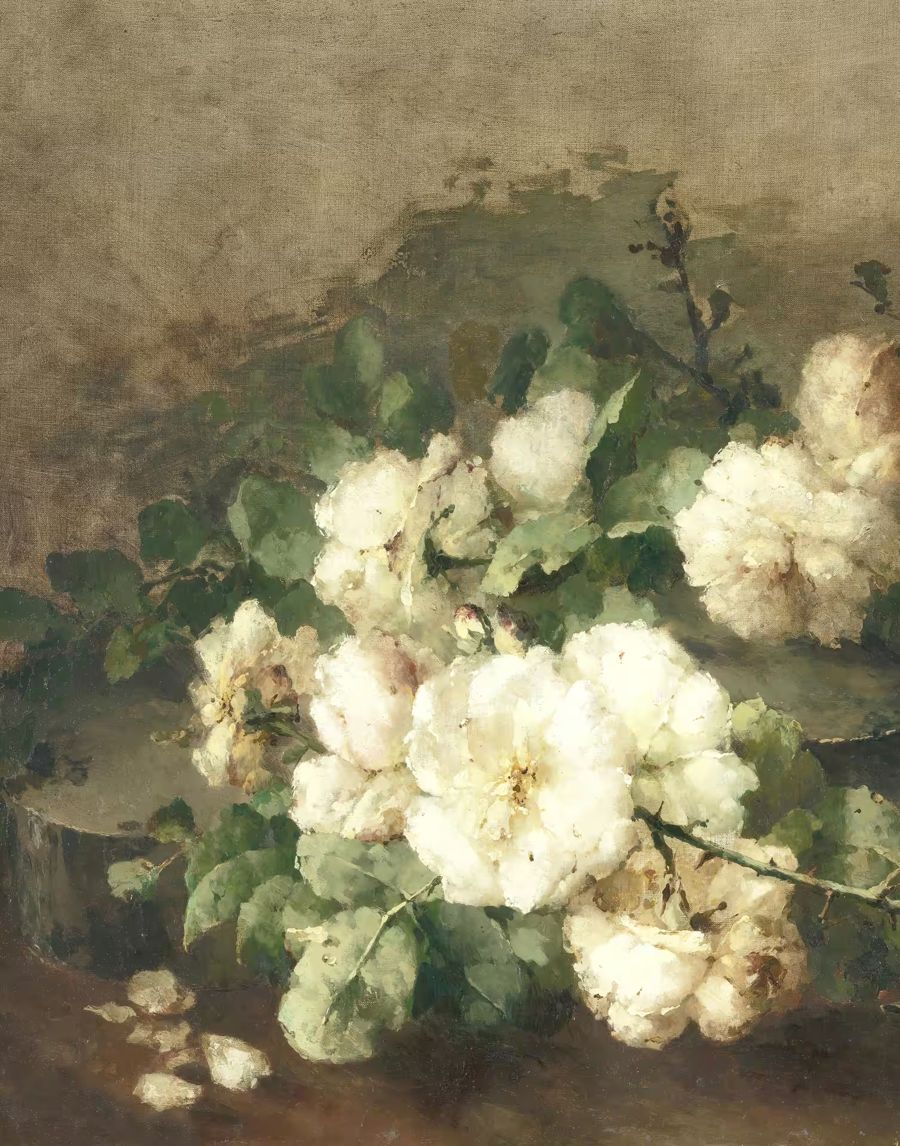 Neutral Flower Flowers Still Life