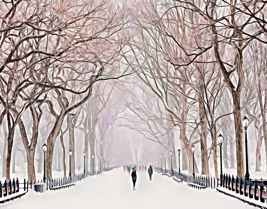 , New York Central Park Snow