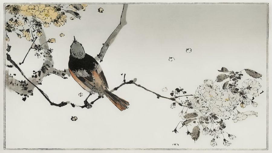, Perched Japanese Swallow