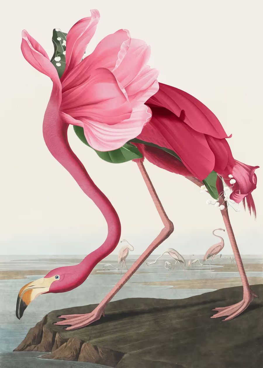 , Pink Flamingo Flowers Body Altered