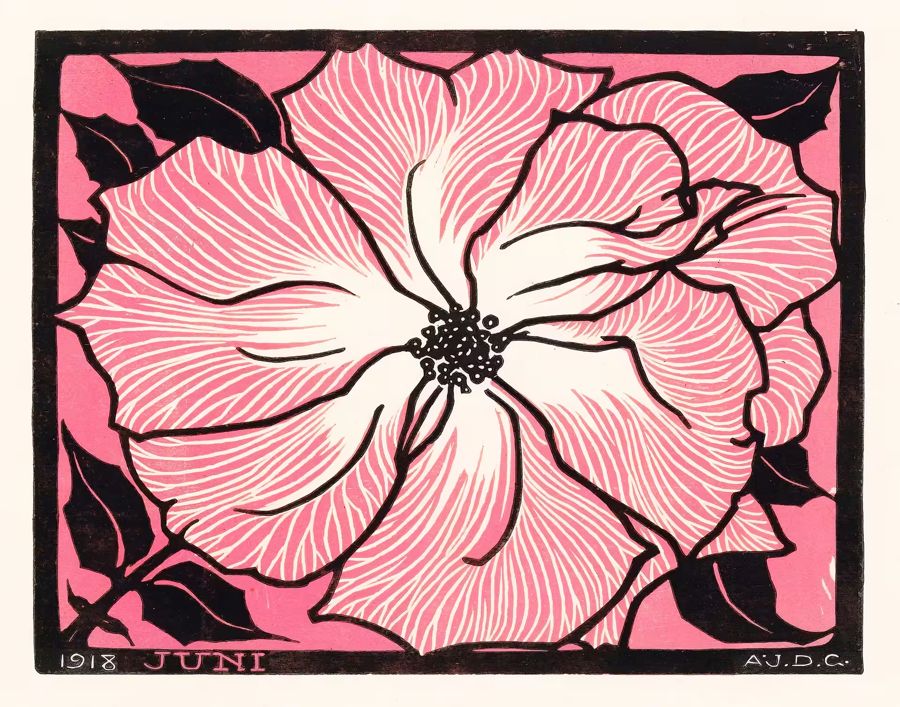, Pink Rose Nouveau Retro Flower
