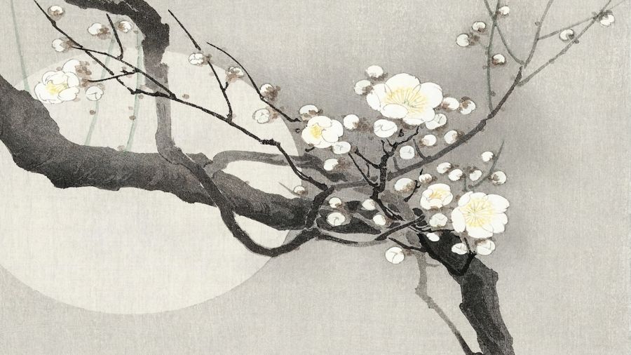 Plum Blossom and Moon