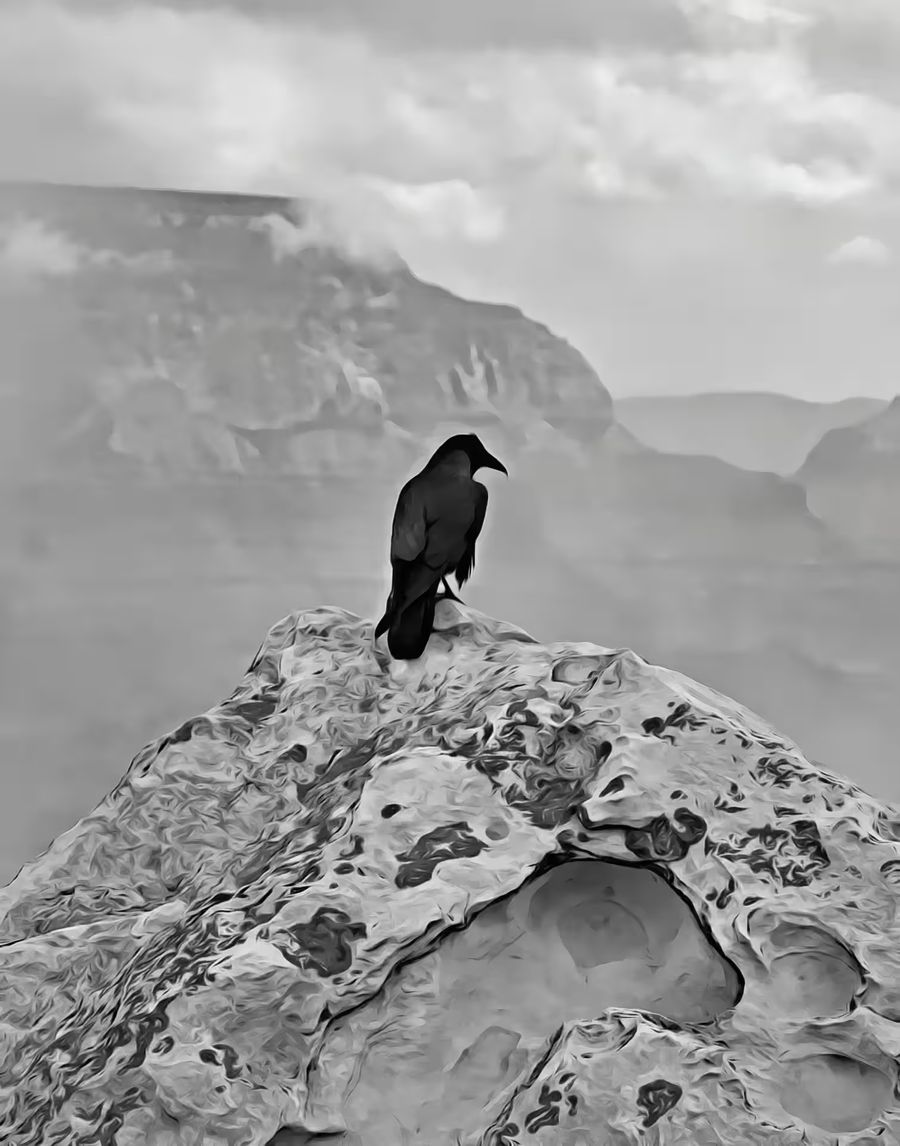 Raven Rock Grand Canyon Crow