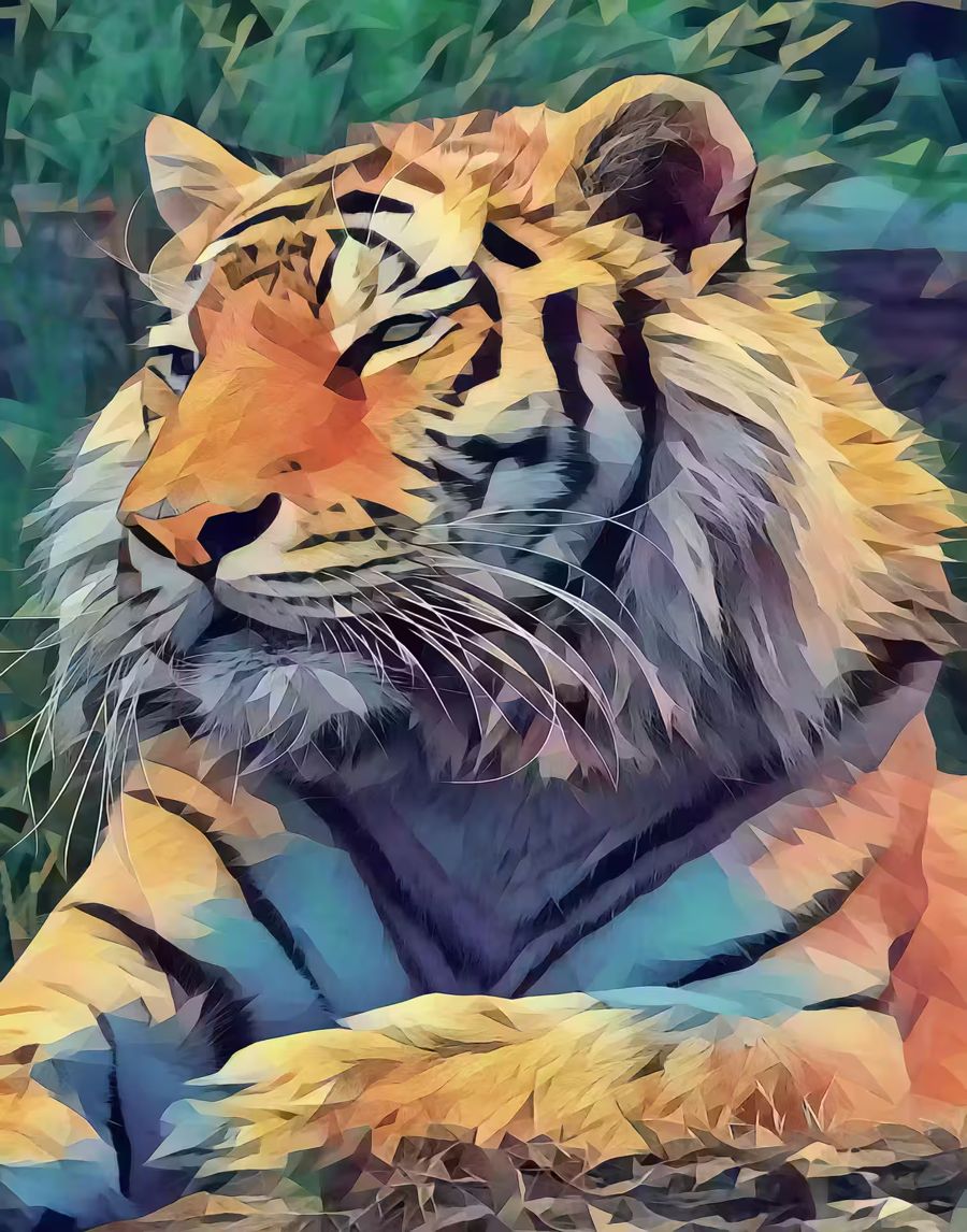 , Resting Tiger Year Tiger Colorful