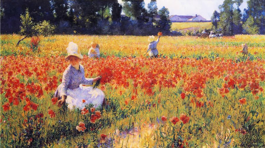 In Flanders Field Where Soldiers Sleep and Poppies Grow