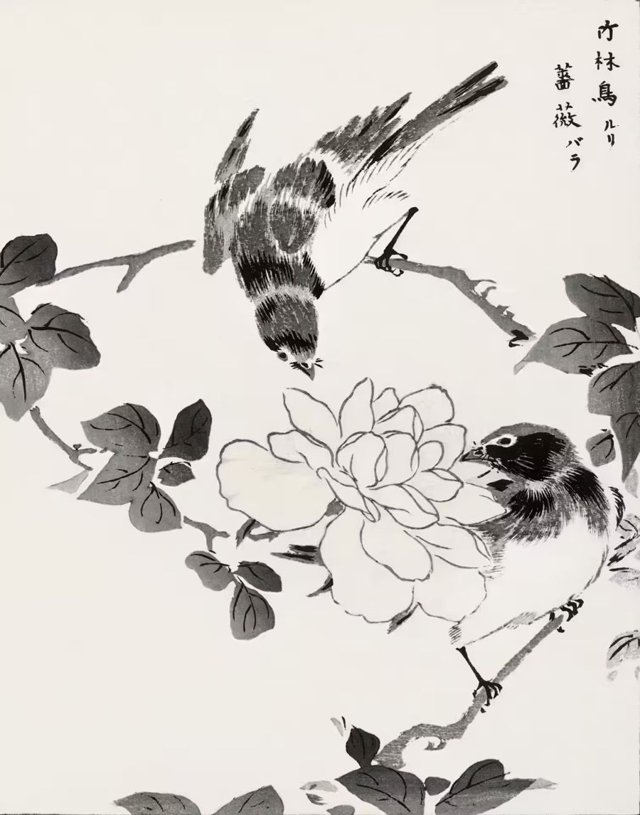, Robin Birds Rose Japanese