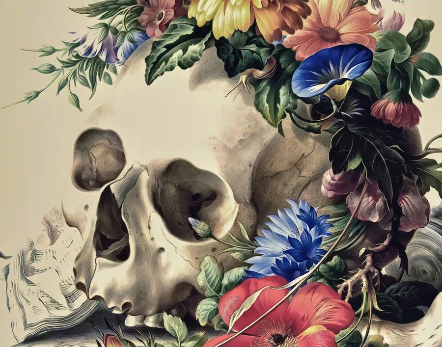 Skull Colorful Flowers Floral